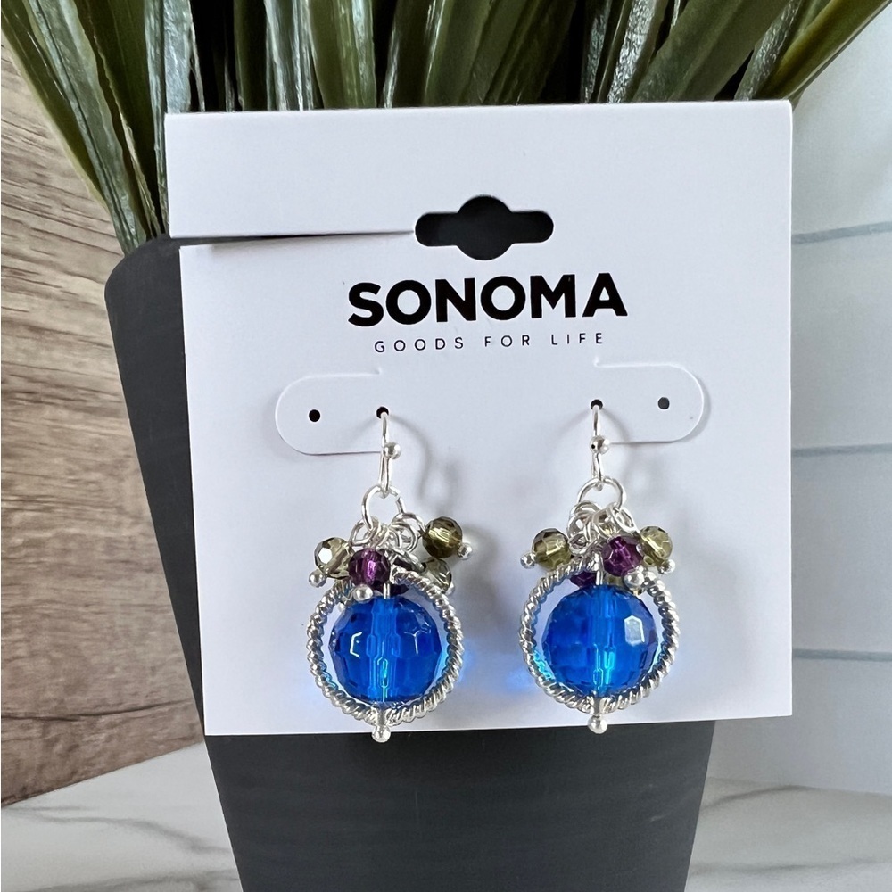Sonoma Silver and Blue Circle Dangle Hoop Earrings Blue Purple Green Beads